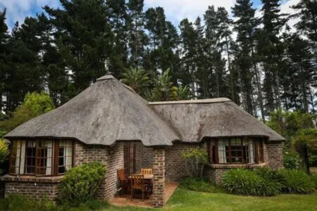 Coral Tree Cottages Отели рядом с достопримечательностью «Knysna Elephant Park»