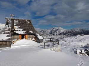 Koca Ojstrica - Velika Planina