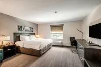 Caretta Landing Sarasota, an Ascend Collection Hotel - Wifi