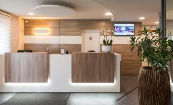 Ibis Styles Charleroi Airport Aero 44
