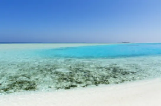 BRICKWOOD GANDUVARU Hotel di Rasdhoo