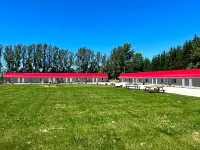 Wiarton Willys Inn - Kæledyr tilladt