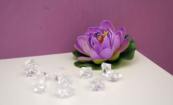 a purple flower with a bee on it is placed on a white surface , surrounded by small glass crystals at Magic Rainbow