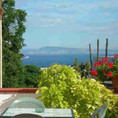 Villa Maresca B&B Rooms