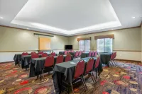 Best Western Plus Suites-Greenville