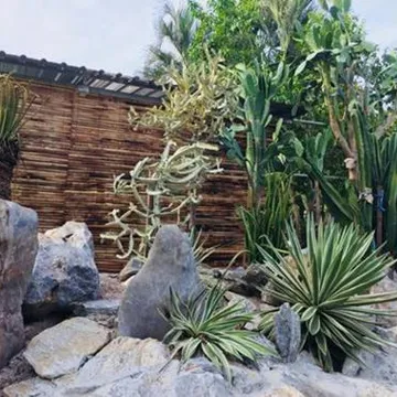 รูปภาพของมายโฮมรีสอร์ท - ขนอม นครศรีธรรมราช