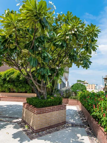 รูปภาพของแกรนด์ประภา เพลส