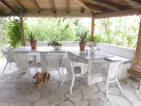 Palmina Mare Villa and Studios Hotels in Zaloggo