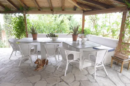 Palmina Mare Villa and Studios Отели в г. Zaloggo