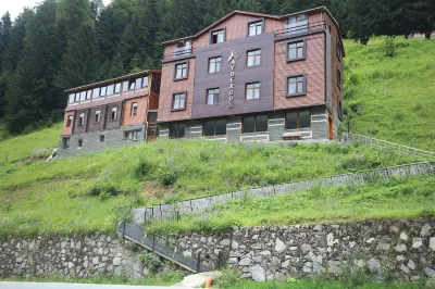 Ayderoom Hotel Отели в г. Zilkale