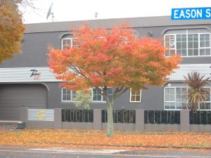 Rotorua Motel