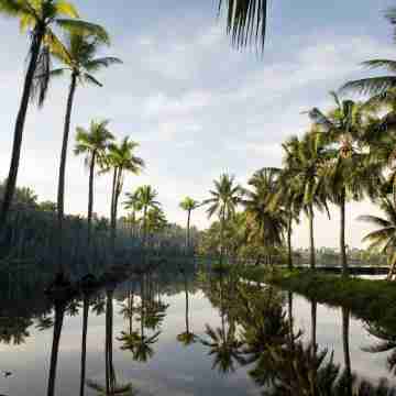 Dolphin House Others