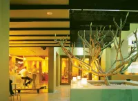 Establishment Hotel Các khách sạn ở Sydney