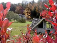 Mountain Valley Retreat Hotels in Chittenden