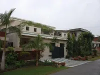 Daily Hostel & Hotel