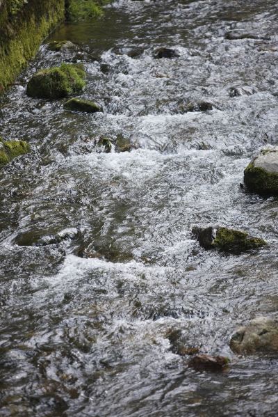 ホテル周辺 鶯宿温泉 長栄館の写真