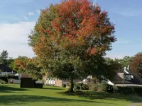 Hotel Haus Hildegard - Garni Hotels in Nettetal