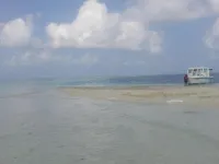 Goby Lodge Guest House Hotel a Mahibadhoo