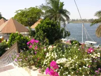 Pyramisa Hotel Luxor - Romantic