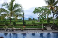 Java Village Resort Yogyakarta - Pools