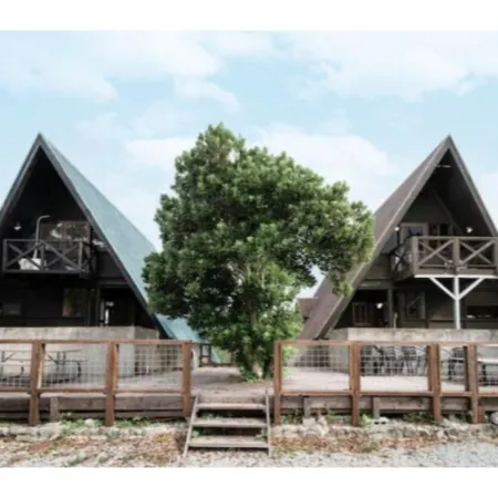 Login Okinawa -Wood-
