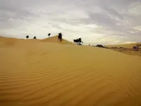The Queen Desert Camp