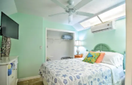 '漂流木海灘套房' - 步行至克利爾沃特海灘