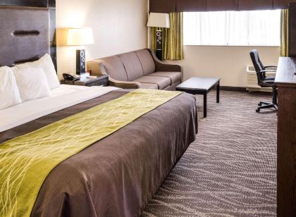 Comfort Inn Downtown Charleston