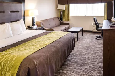 Comfort Inn Downtown Charleston Hotel a Charleston