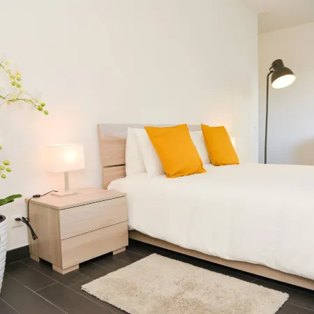 Central Plaza Apartment Brè in Lugano