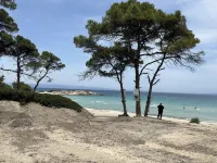 Luxury Rental Villa for 14 People