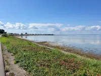 "Reinmoth" - 100m from the Sea