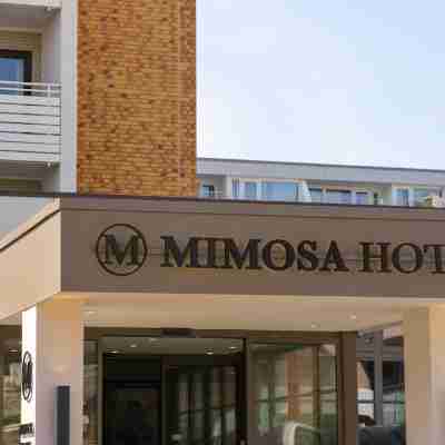 Mimosa Hotel Hotel Exterior