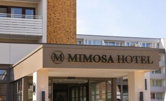 Mimosa Hotel - Housity