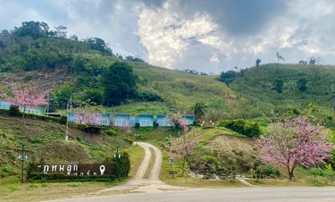 รูปภาพของภูหมอกรีสอร์ท