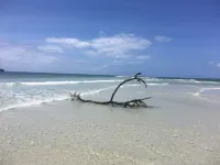 Cove House House 60 m2 Creekside Indian Ocean Hotels in Shimoni