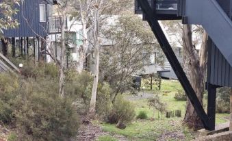 Magpies Nest