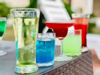 Vits Kamats Resort, Silvassa - bar