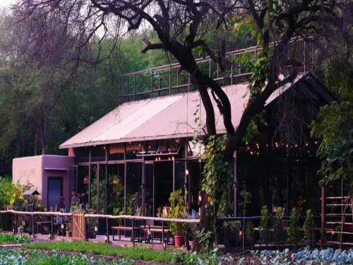 Jehan Numa Retreat
