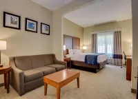 Comfort Inn & Suites Augusta Fort Eisenhower Area
