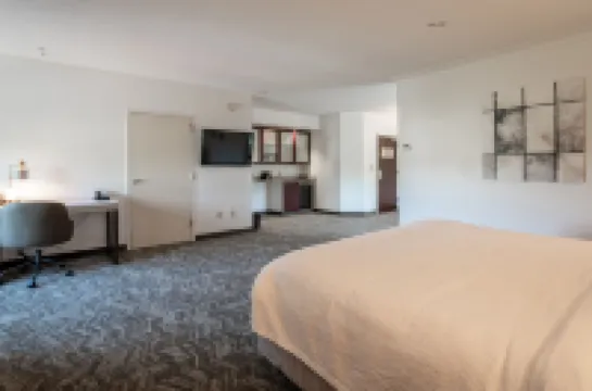 SpringHill Suites Gainesville