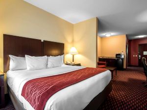 Comfort Inn & Suites Tunkhannock