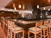 Radisson Hotel Detroit Metro Airport - bar