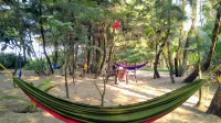 OmBodhi Retreat Hotels in Uttara Kannada