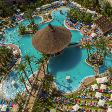 Magic Tropical Splash