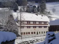 Hotel Sonne Hotels in Wolfach