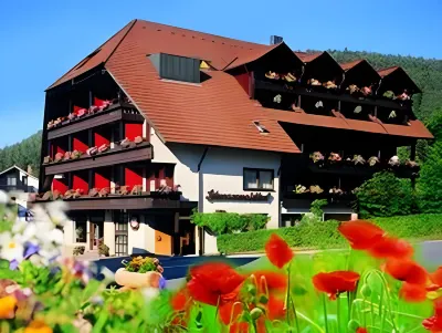 Hotel Schwarzwaldhof Hotel a Enzklosterle
