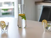 Seeteufel - Pet friendly