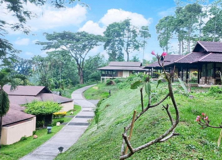 3. 피나 골프 & ..