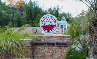 Dream Dome Glamping Studio Ichihara